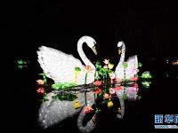 中国彩灯点亮科隆冬夜
