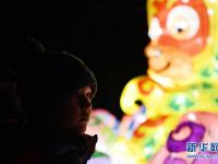 中国彩灯点亮科隆冬夜