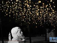  雪博会 夜“妩媚”