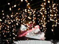  雪博会 夜“妩媚”