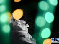  雪博会 夜“妩媚”