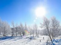 雪霁石林