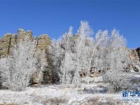  雪霁石林