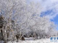  雪霁石林