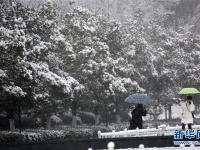  多地迎来降雪天气
