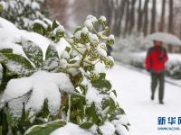  多地迎来降雪天气