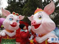  多彩迎新春