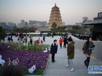  西安：大雁塔商圈焕发活力