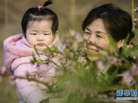  新疆鄯善：桃花朵朵开