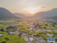  福建永春：建设美丽乡村 加速乡村振兴