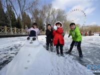 雪落塞上乐趣多