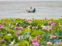  高原春来早 云岭开新篇