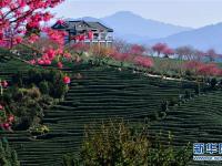  乡村振兴好风景