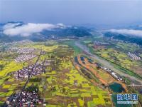  乡村振兴好风景