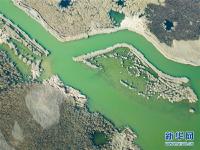  鸟瞰黄河口湿地风光