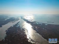  鸟瞰黄河口湿地风光