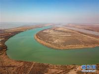 鸟瞰黄河口湿地风光