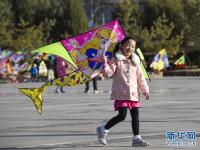  忙趁春风放纸鸢