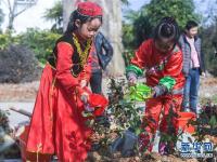  多民族儿童共迎植树节