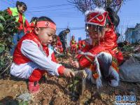  多民族儿童共迎植树节