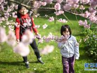  武汉东湖樱花节开幕