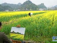  赣西大地 油菜花开