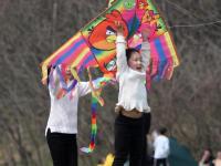  忙趁东风放纸鸢
