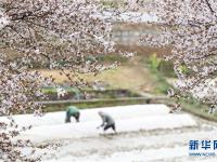  春光好 人勤劳