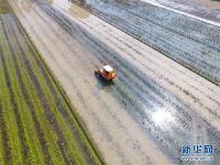  湖南双峰：天气回暖 春耕春播忙