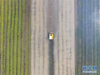  湖南双峰：天气回暖 春耕春播忙