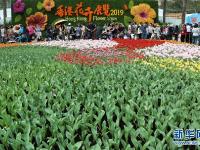  鲜花醉游人