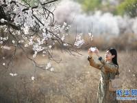  河北内丘：春分时节享春光