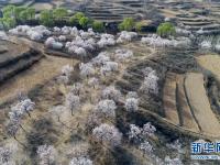  河北内丘：春分时节享春光