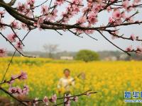  春分时节花伴农事