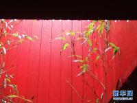 林中“树屋”