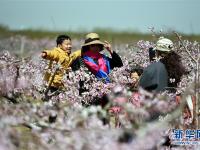  山东郯城：“农家花园”助力乡村旅游