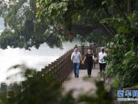  “绿城”绿意浓