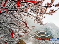  河北张家口降春雪