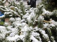  河北张家口降春雪