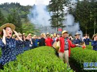  武夷山：生态茶园 祭茶喊山