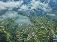  堂安梯田景如画