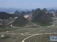  云南西畴：石漠化山地披绿装