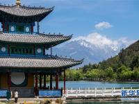  丽江旅游持续升温