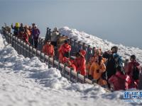  丽江旅游持续升温