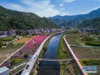  美丽乡村“众筹”玫瑰园 开出美丽“致富花”