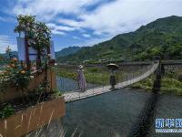  美丽乡村“众筹”玫瑰园 开出美丽“致富花”