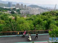  福州：逛城市绿道 享绿色生活