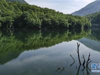  秦岭腹地小江南