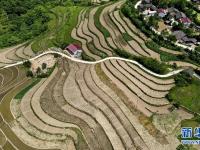  秦岭腹地小江南