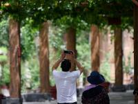  葡萄沟渐入旅游旺季